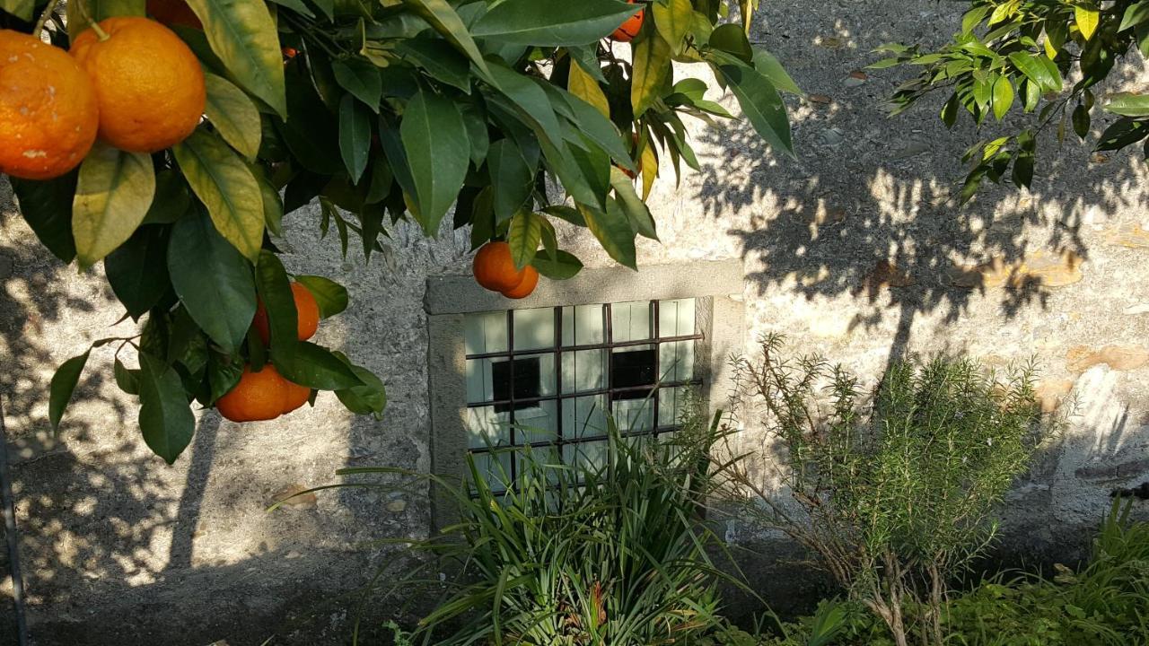 Casale Amati Country House Ortonovo Exterior foto